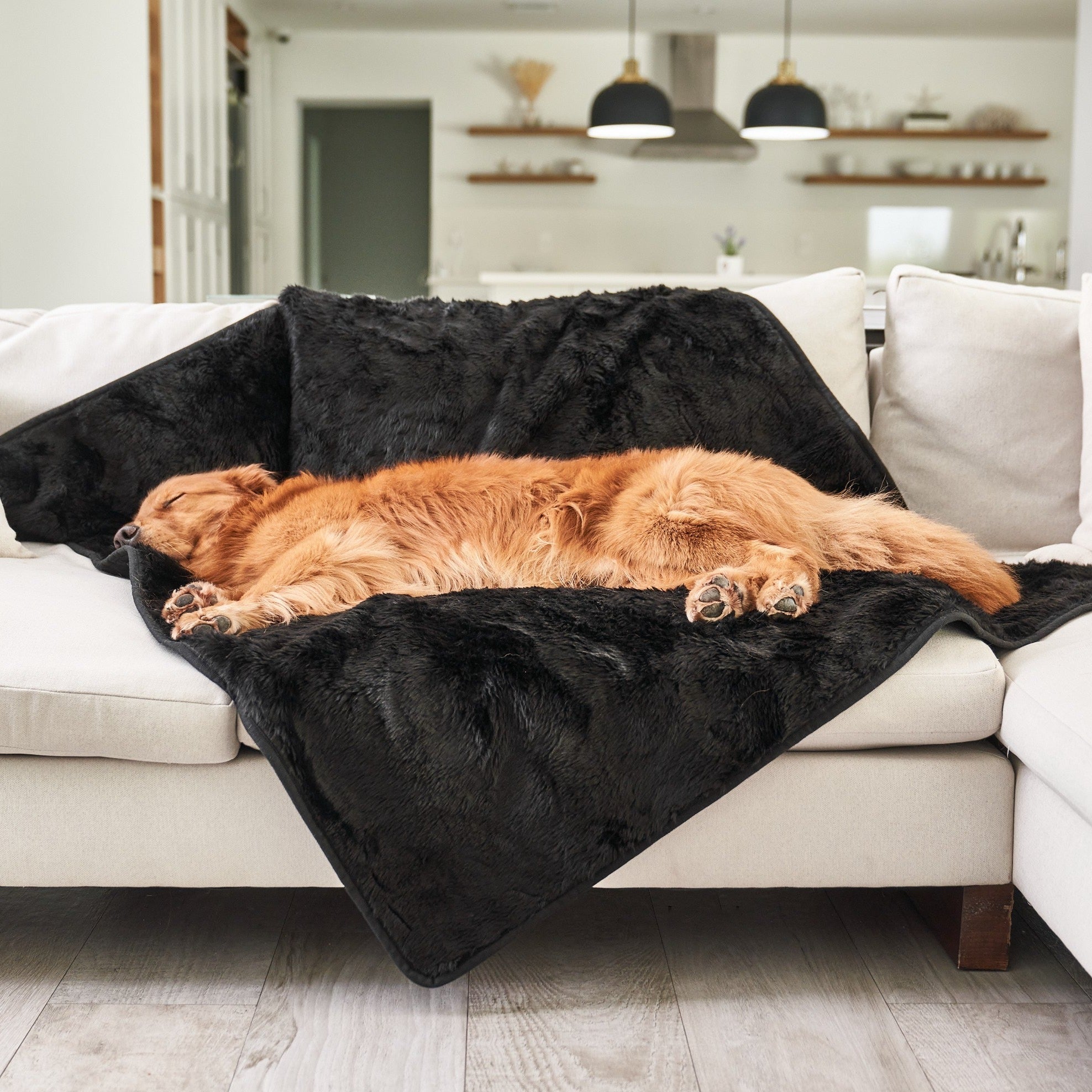 PupProtector Short Fur Waterproof Throw Blanket Midnight Black