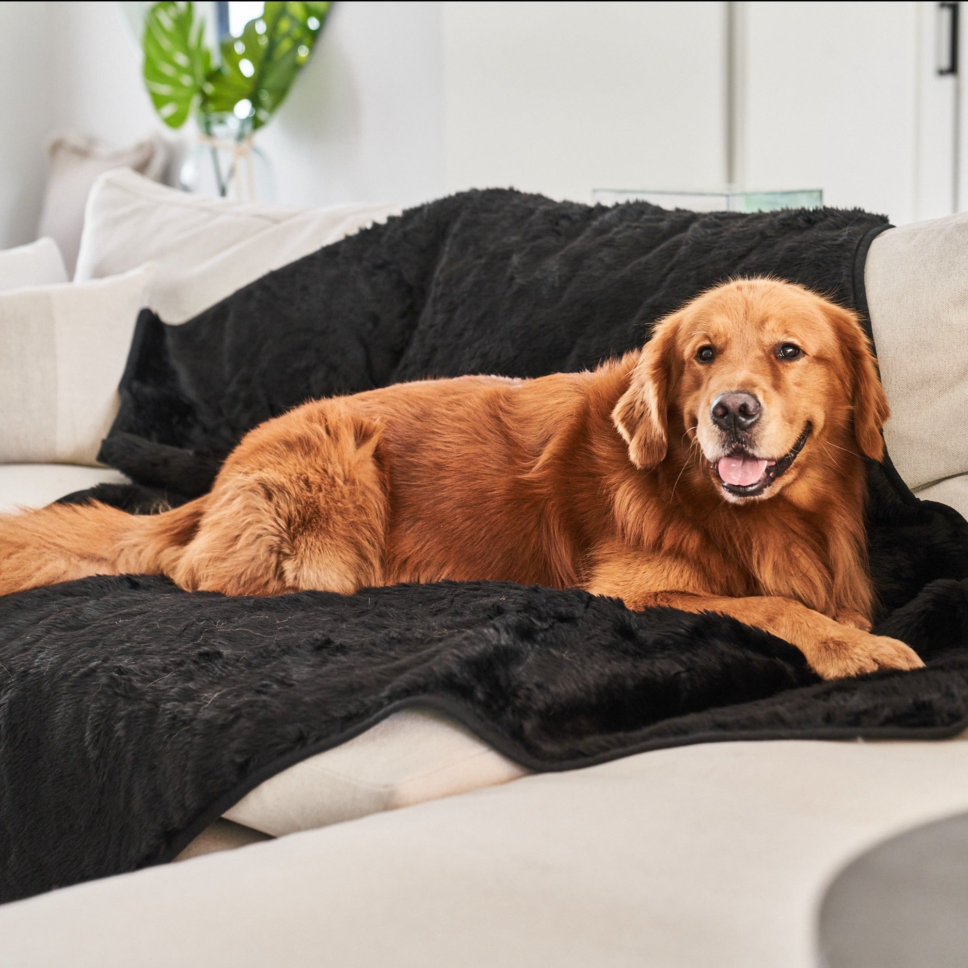 PupProtector Short Fur Waterproof Throw Blanket Midnight Black