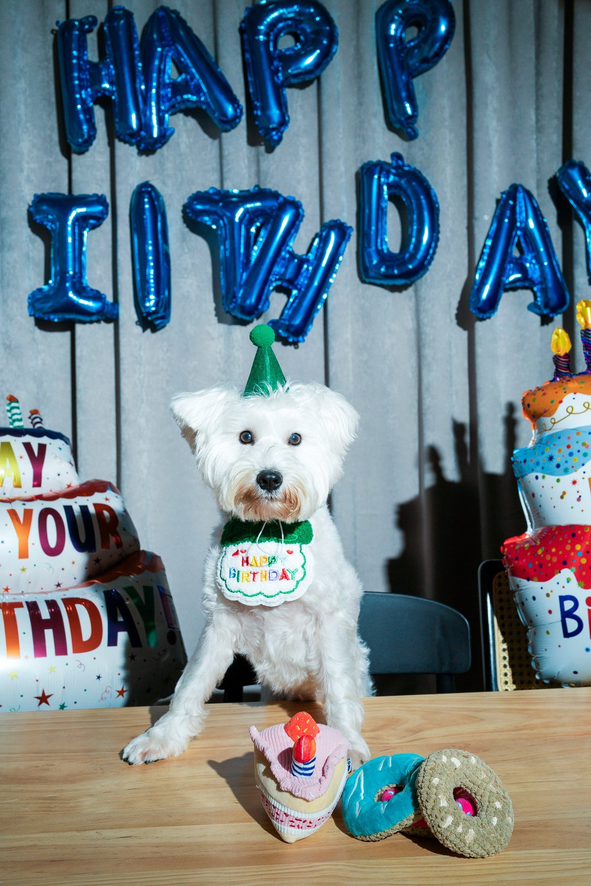 Pawty Cupcake Plush Squeaky Dog Toy