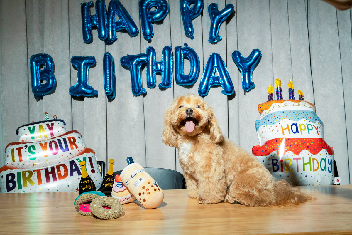 Pawty Pink Birthday Bone Interactive Dog Toy