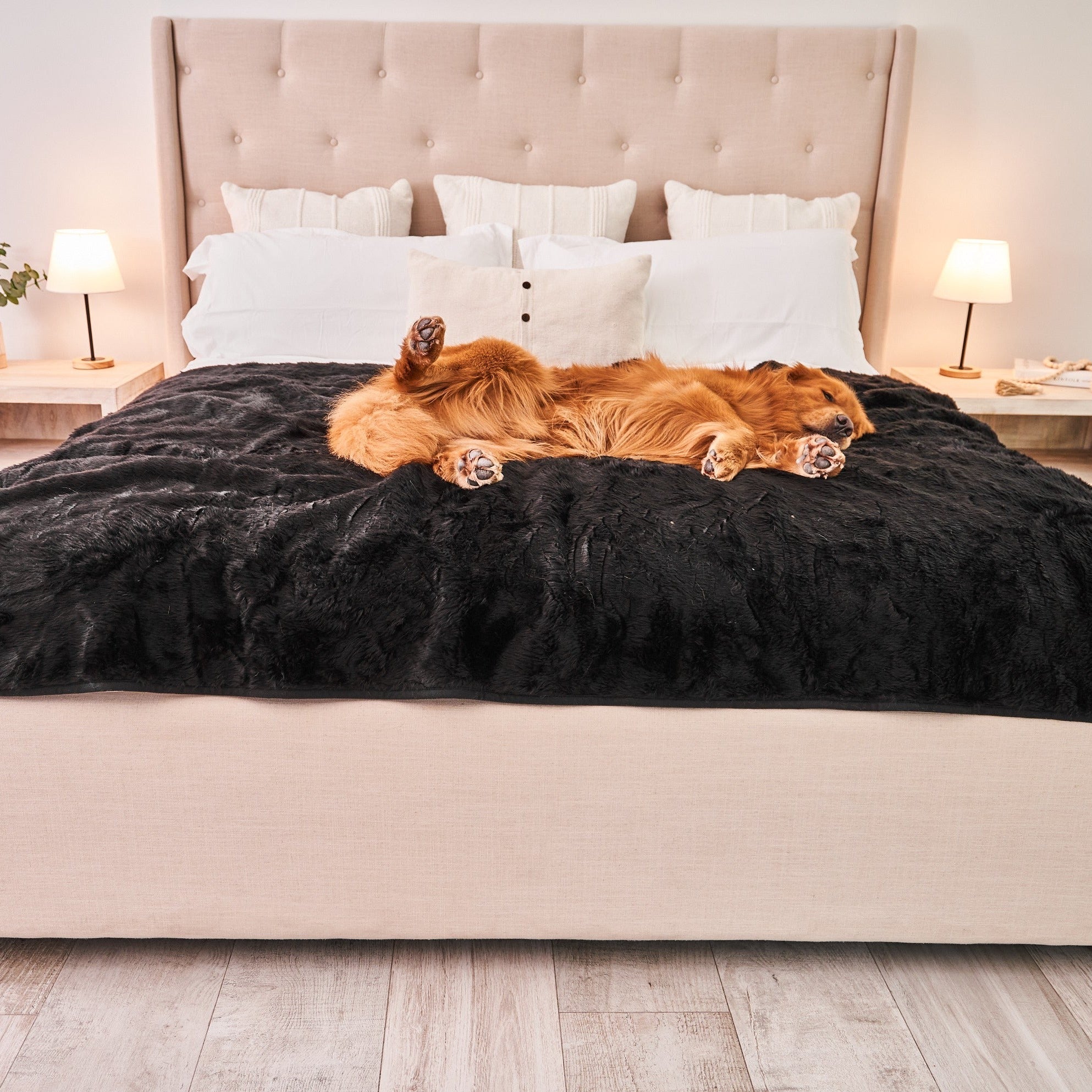 PupProtector Short Fur Waterproof Throw Blanket Midnight Black