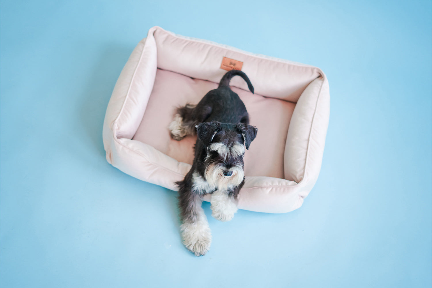 Chester & Lee Nude Pink Velvet Sleeper Dog Bed