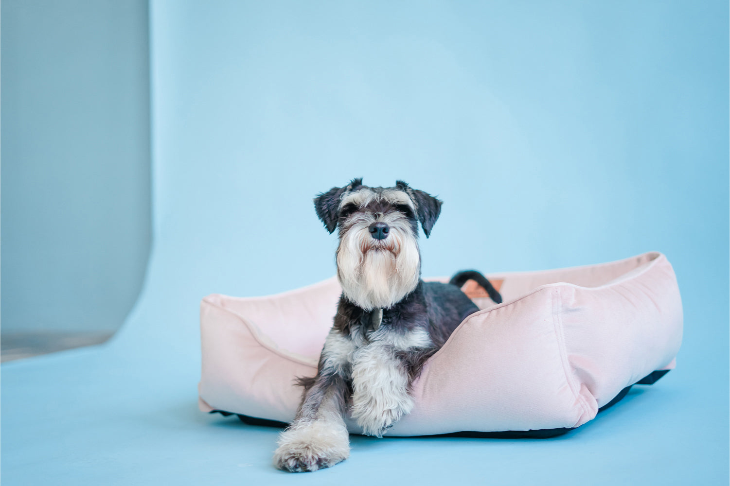 Chester & Lee Nude Pink Velvet Sleeper Dog Bed