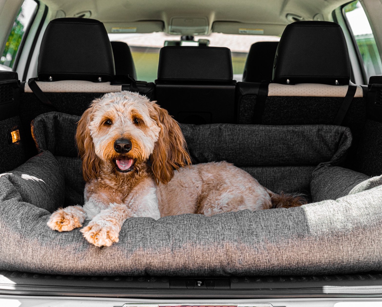 PupProtector Memory Foam Dog Car Bed