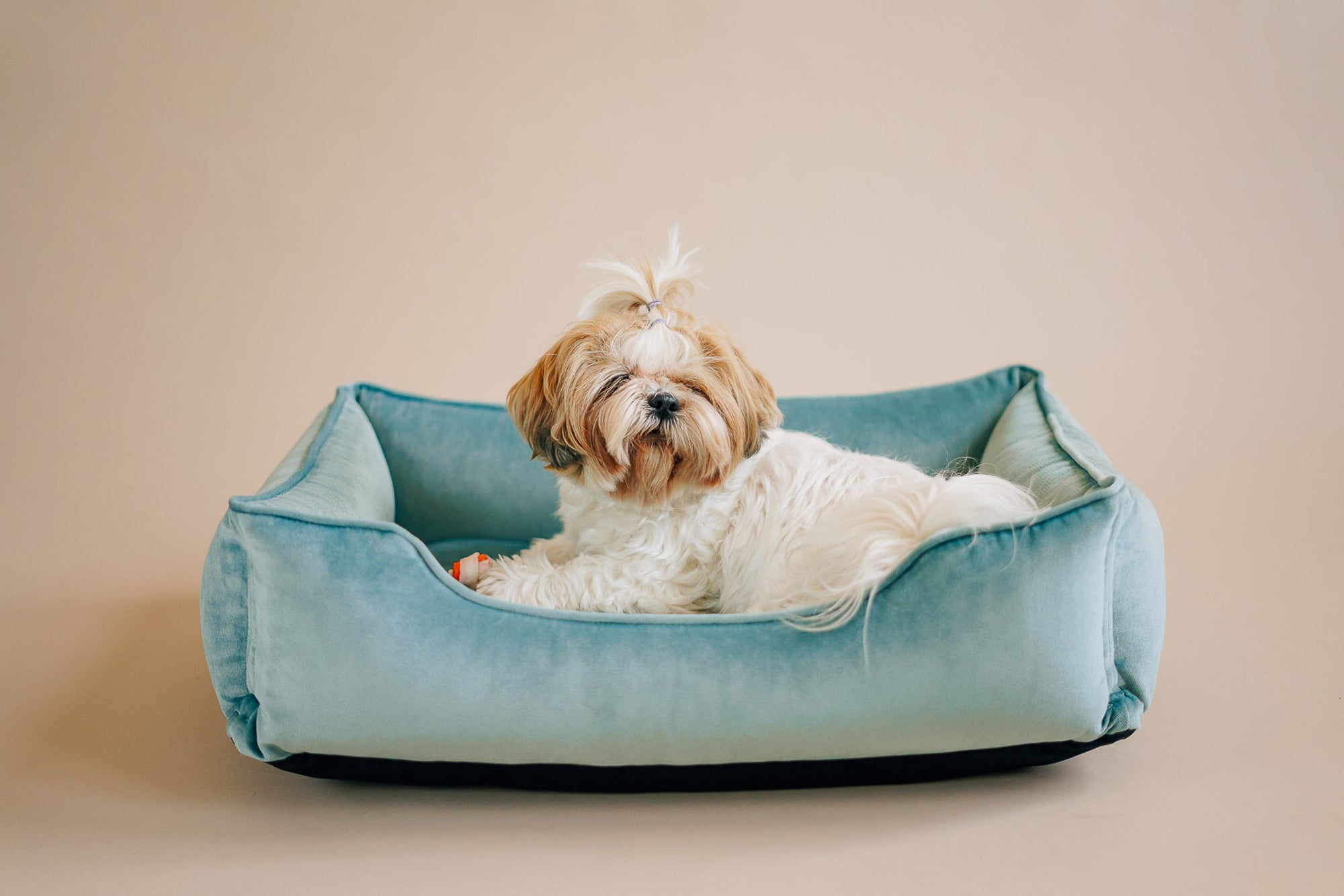 Chester & Lee | Vibrant Velvet Sleeper Dog Bed Tiffany | HT Animal Supply