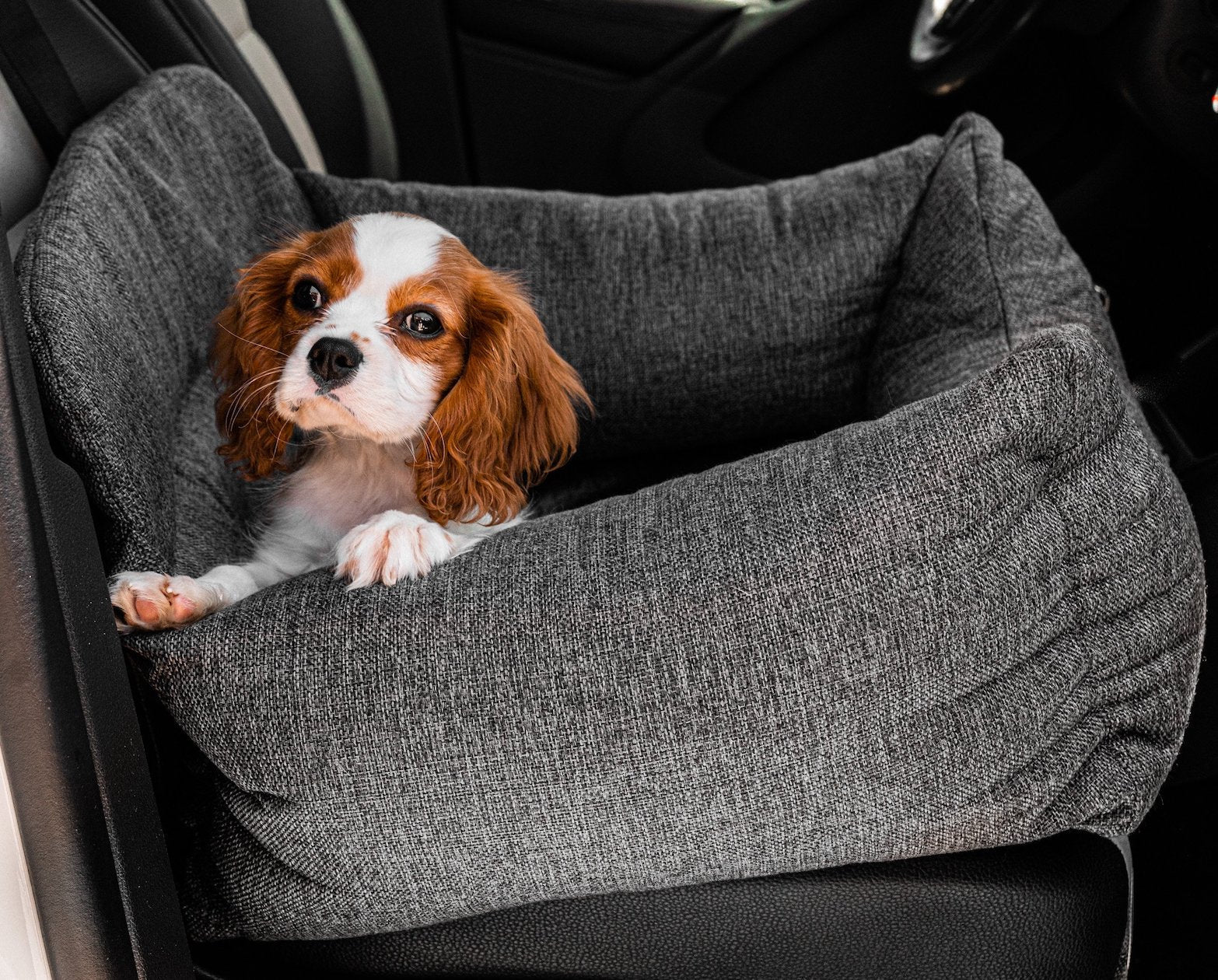 PupProtector Memory Foam Dog Car Bed