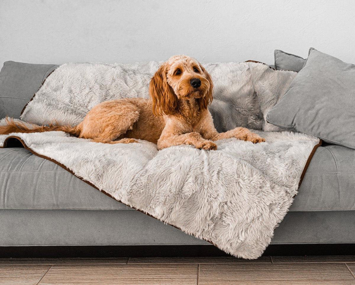 PupProtector Short Fur Waterproof Throw Blanket Grey 