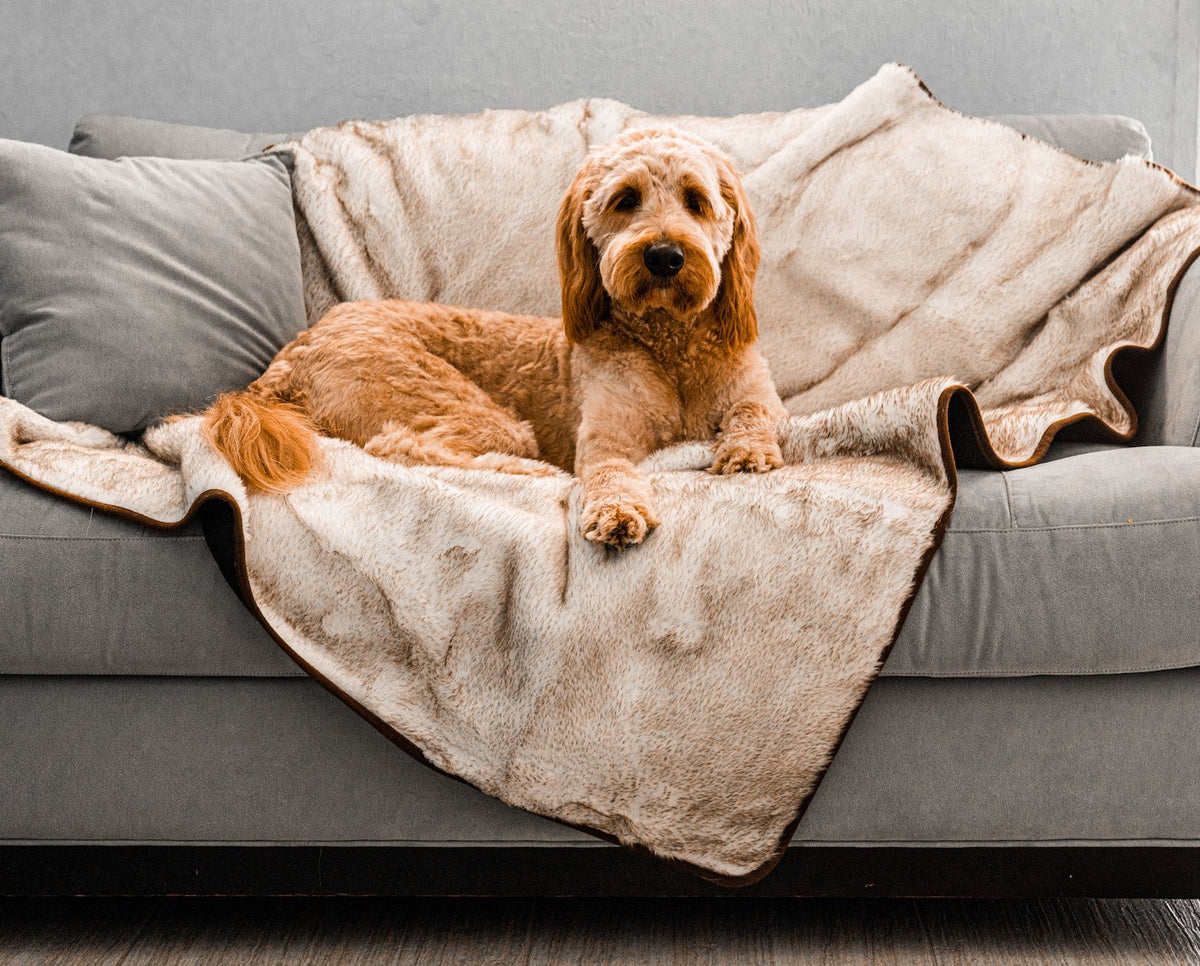 PupProtector Short Fur Waterproof Throw Blanket White with Brown Accents