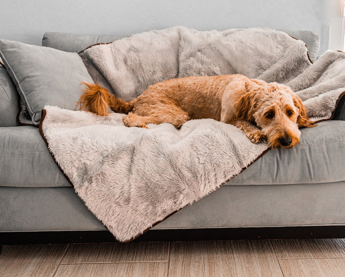 PupProtector Short Fur Waterproof Throw Blanket Grey