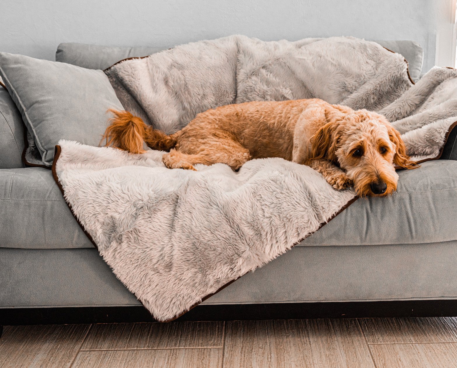 PupProtector Short Fur Waterproof Throw Blanket Grey