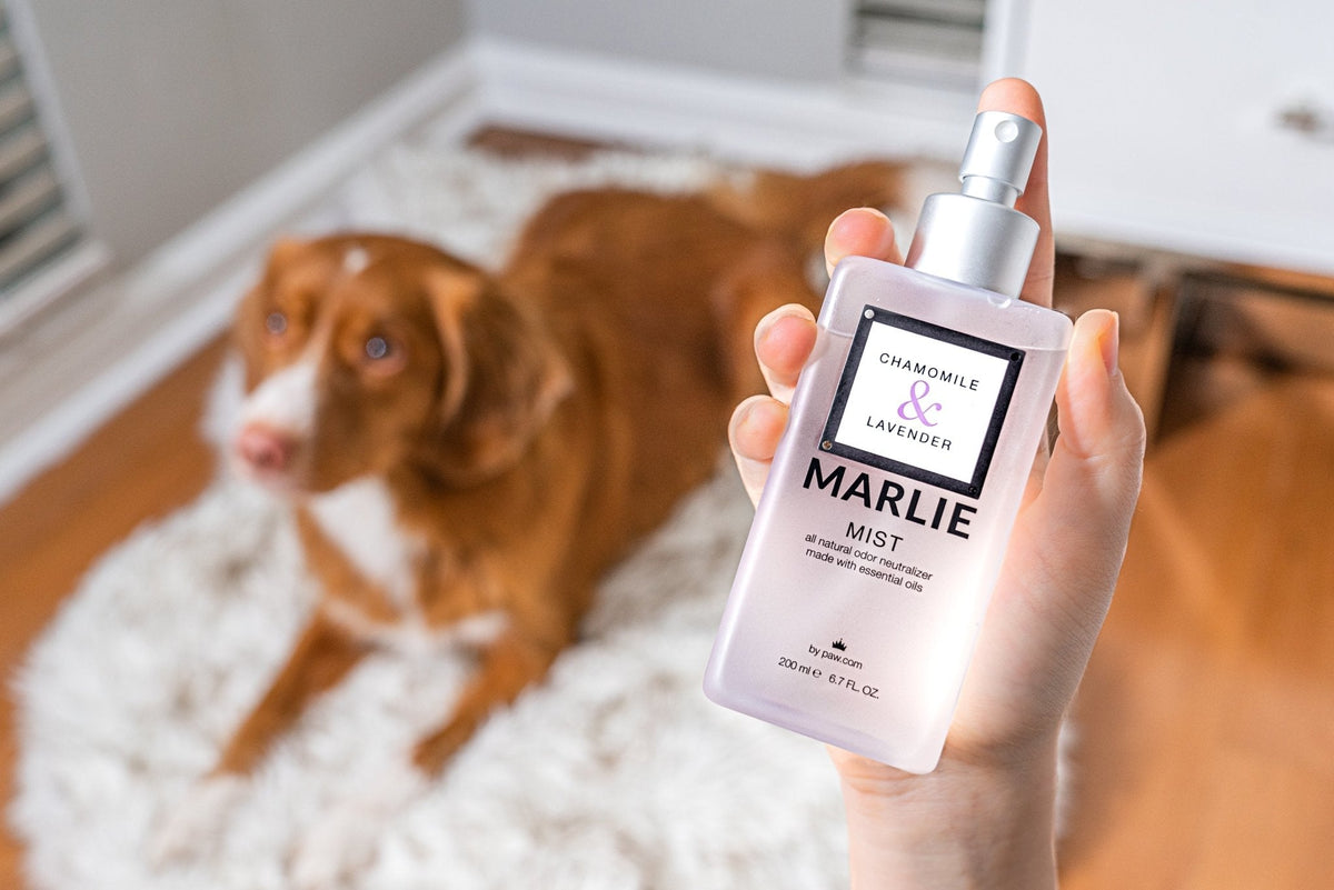 Marlie Mist Pet Odor Eliminator Spray with Essential Oils 