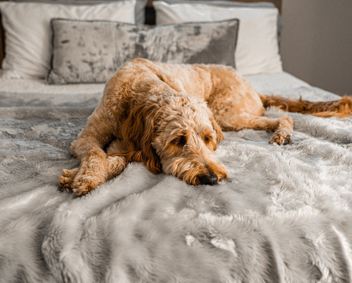 PupProtector Short Fur Waterproof Throw Blanket Grey