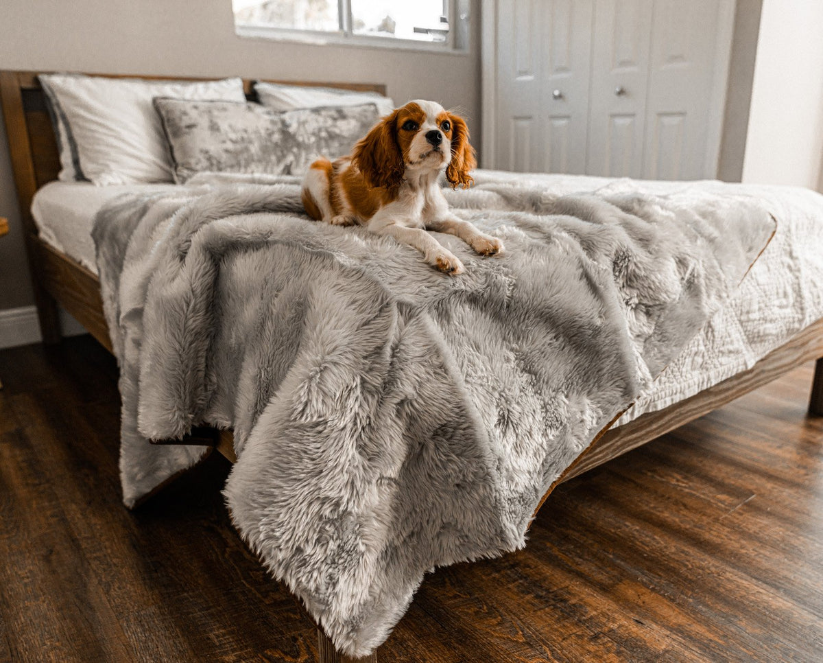 PupProtector Short Fur Waterproof Throw Blanket Grey