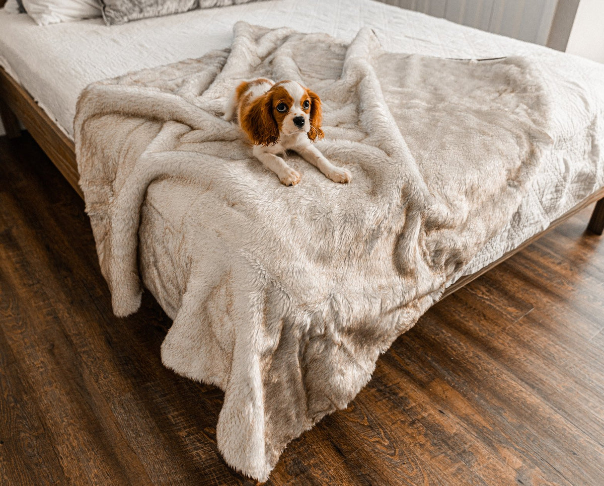 PupProtector Short Fur Waterproof Throw Blanket White with Brown Accents 