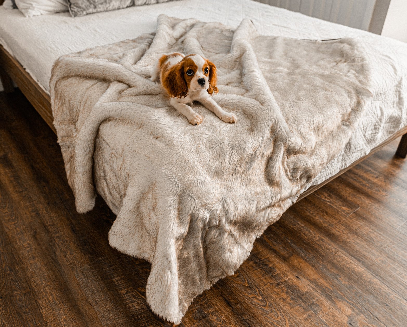 PupProtector Short Fur Waterproof Throw Blanket White with Brown Accents 