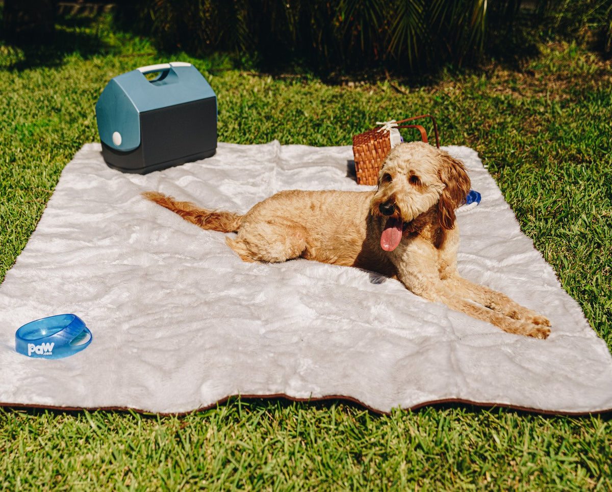 PupProtector Short Fur Waterproof Throw Blanket Grey