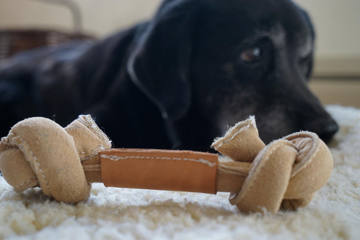 Huggle-Hide Natural Leather Bone Dog Toy, 3 Pack