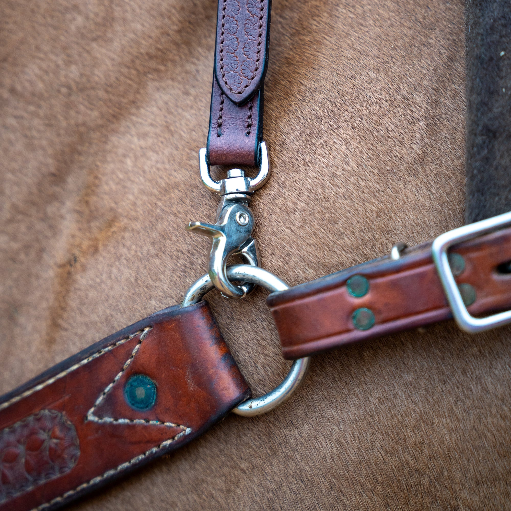 Western Wither Strap with Double neck strap