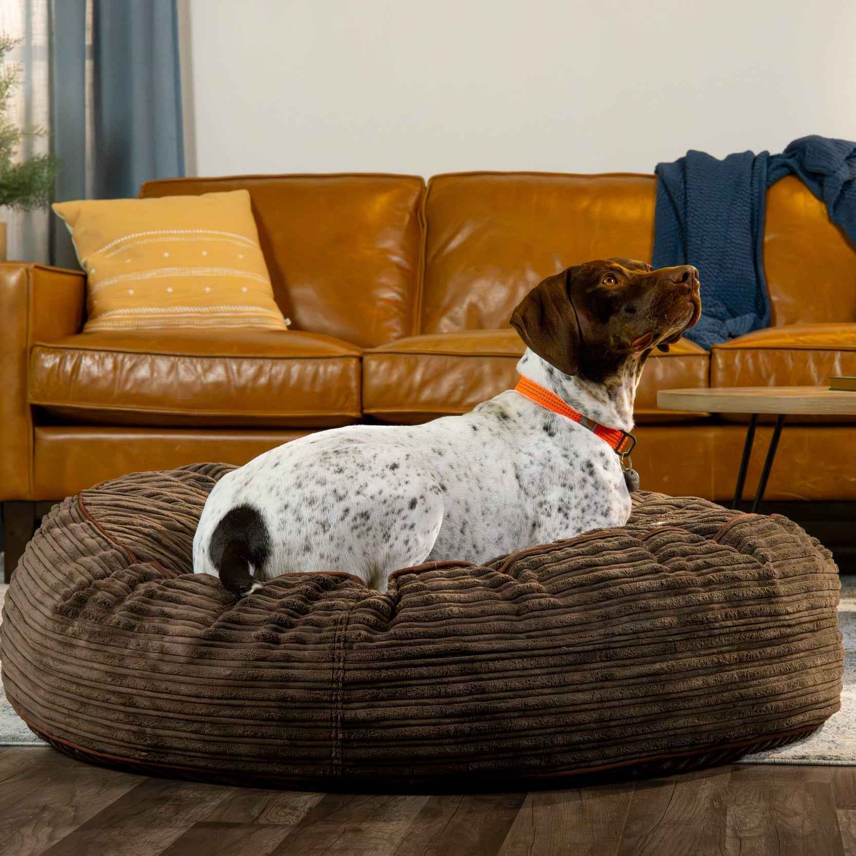 CordaRoys 40-Inch Waterproof Terry Corduroy Dog Bed