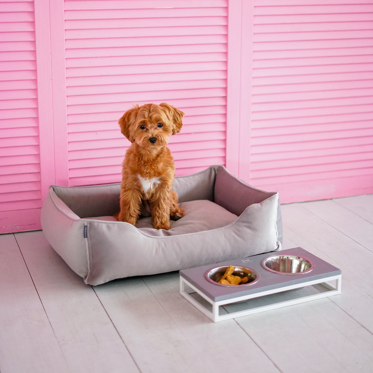 Velvet Dog Bed Dreamer