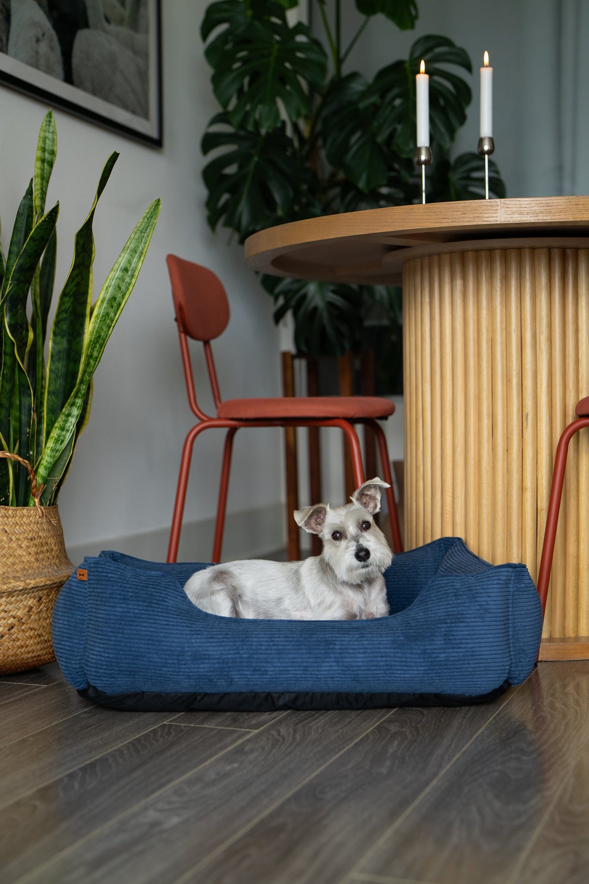 Chester & Lee | Fancy Corduroy Sleeper Dog Bed | HT Animal Supply