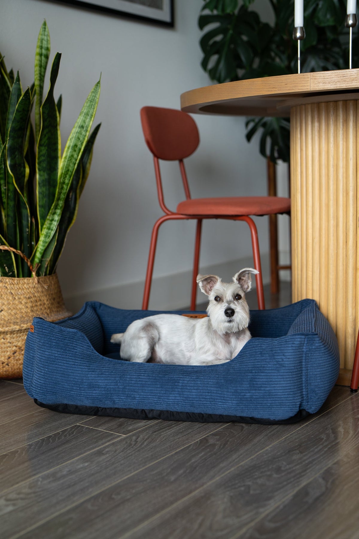 Chester & Lee | Fancy Corduroy Sleeper Dog Bed | HT Animal Supply