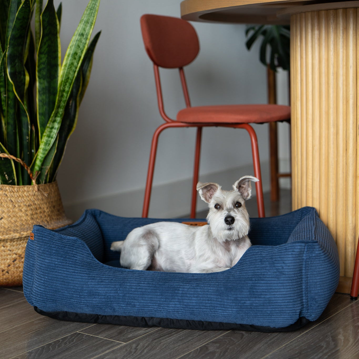 Chester & Lee | Fancy Corduroy Sleeper Dog Bed Blue | HT Animal Supply