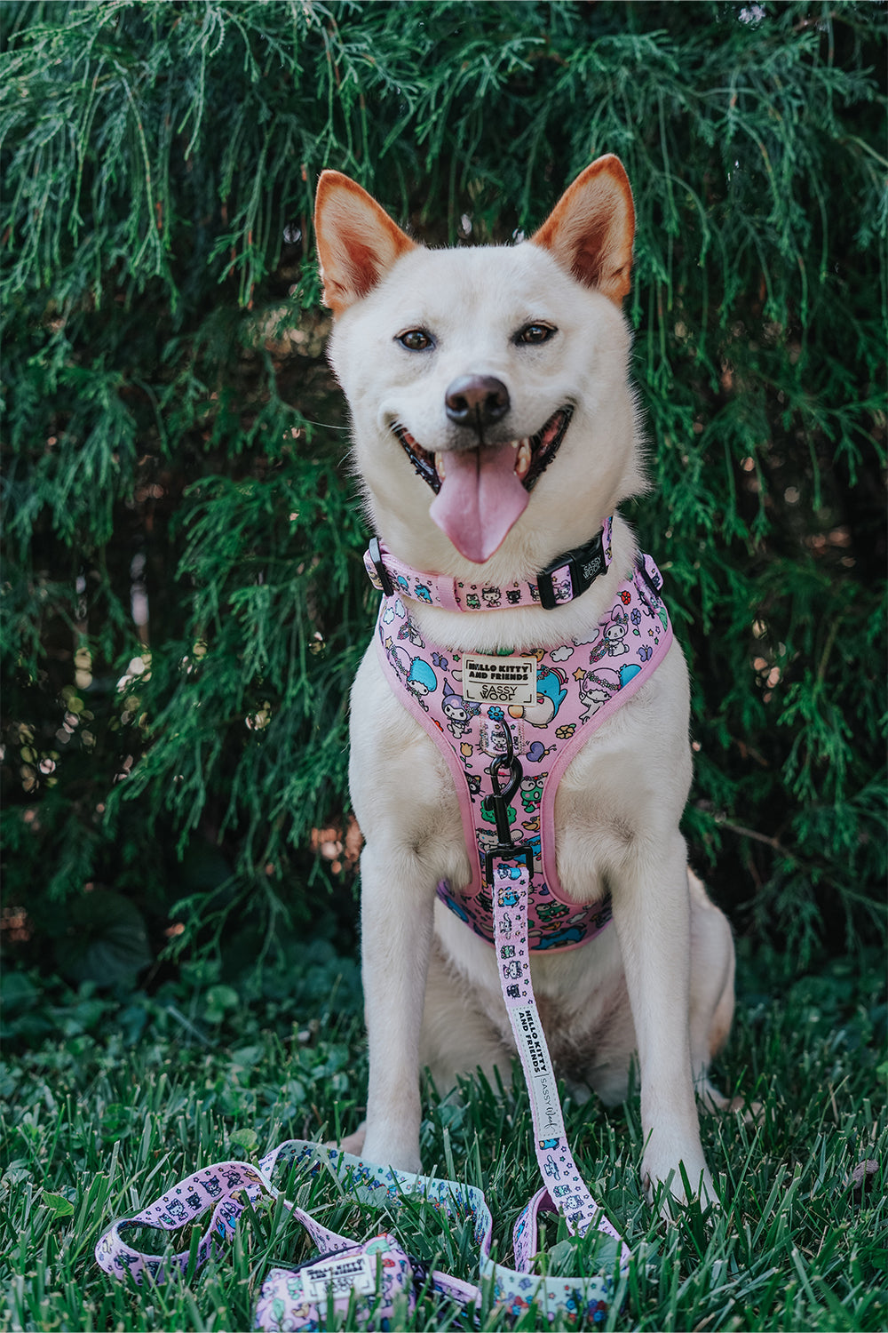 Dog Adjustable Harness - Hello Kitty® & Friends Flower Festival