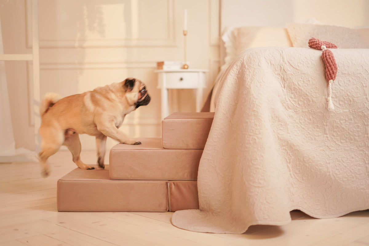 Bed Stairs for Pets - Tetris
