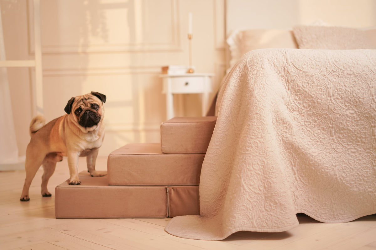 Bed Stairs for Pets - Tetris