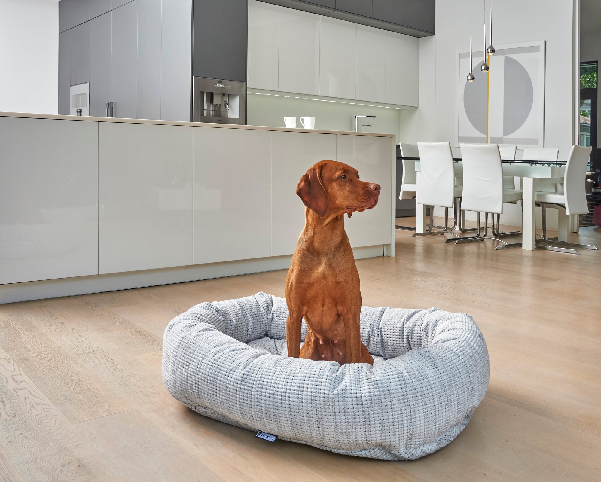 SALE: Bowsers Luxury Calming Donut Dog Bed - Premium Plush Round Bed