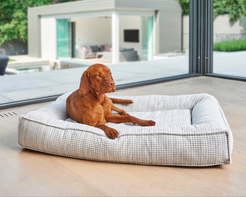 Bowsers Divine Dog Bed Futon Dog Bed - Cloud-Like Cushioning for Stretch-Out Sleep