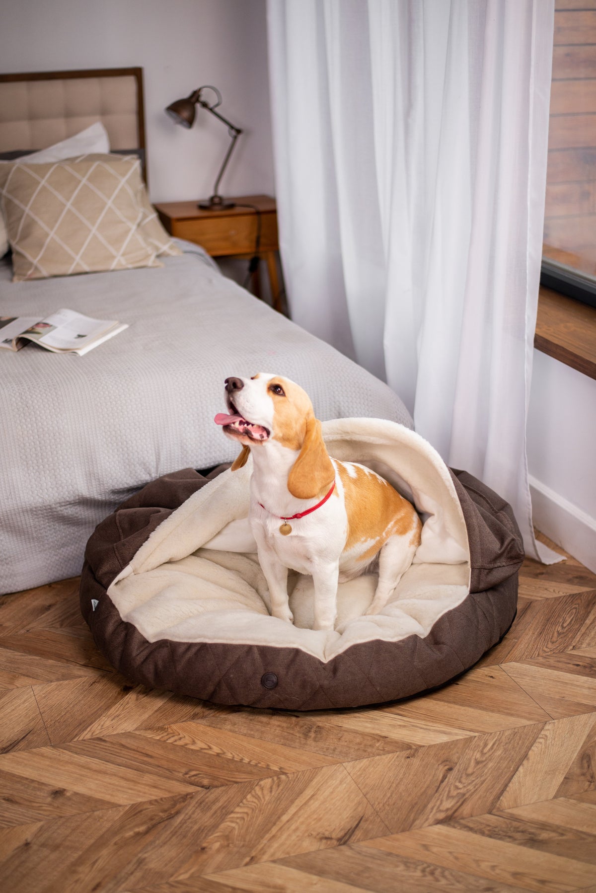 Cover Dog Bed