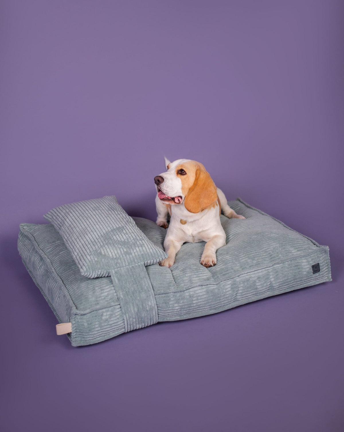 Memory Foam Dog Bed