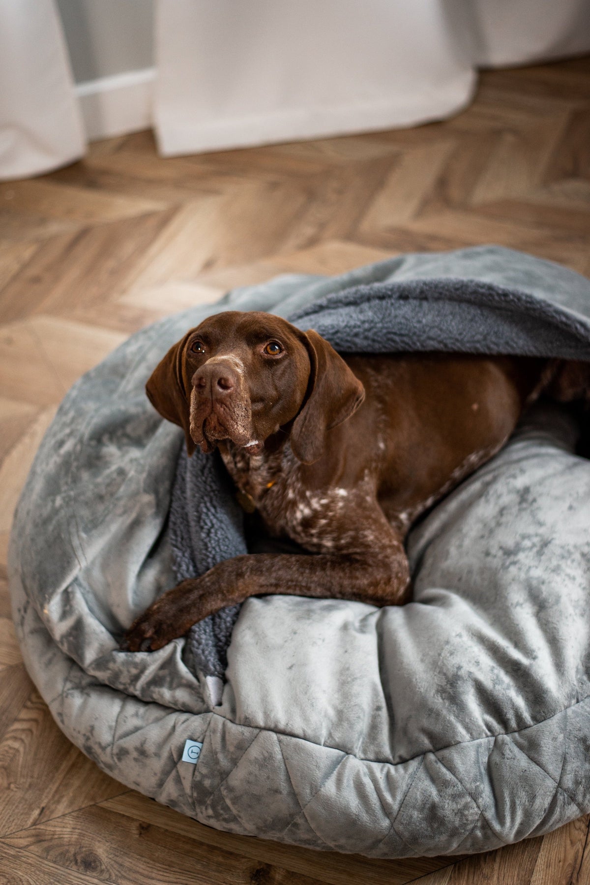 Cover Dog Bed