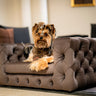 The Glamour Luxury Pet Bed in Dark Brown