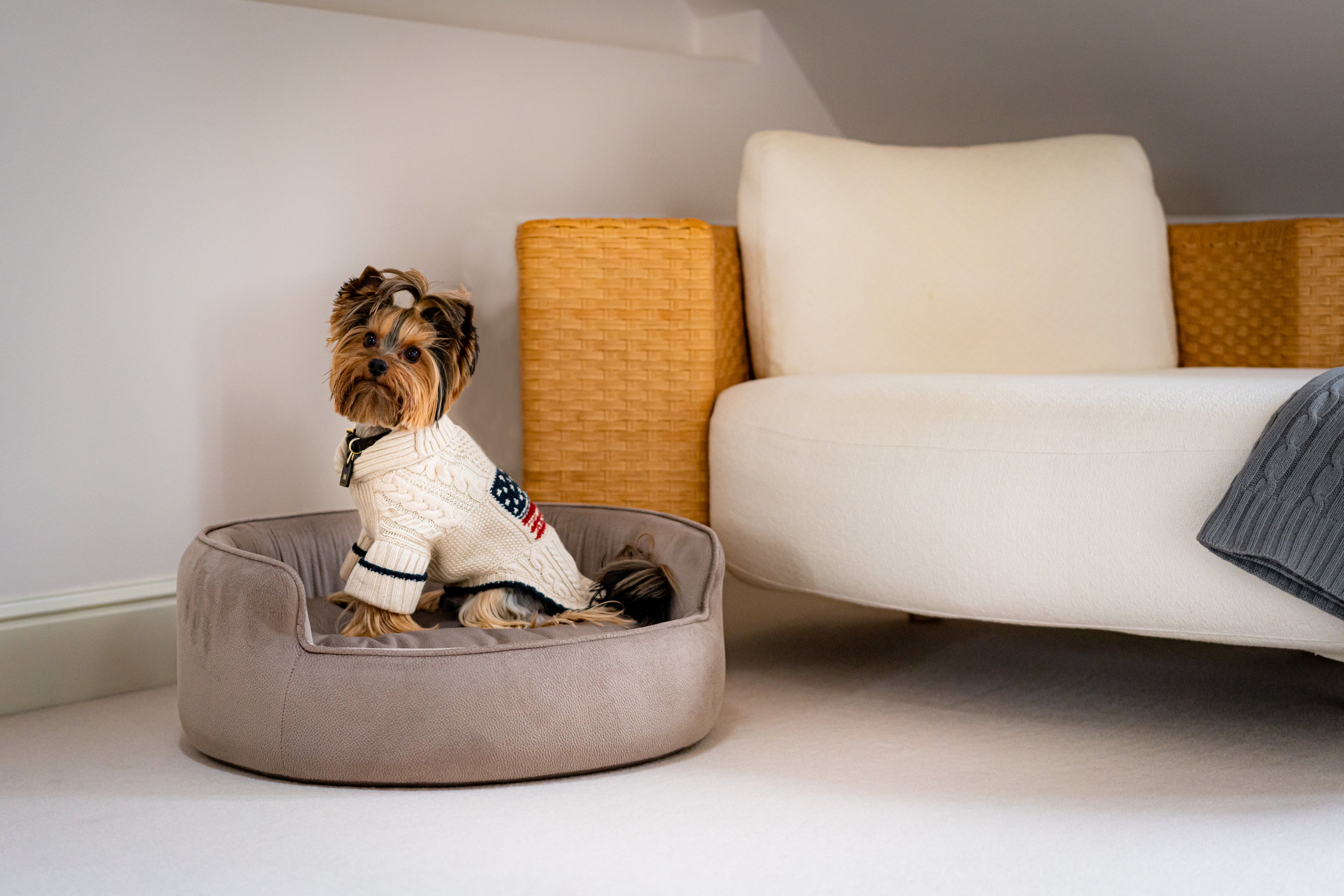 The Yin & Yang Luxury Pet Bed in Yellow