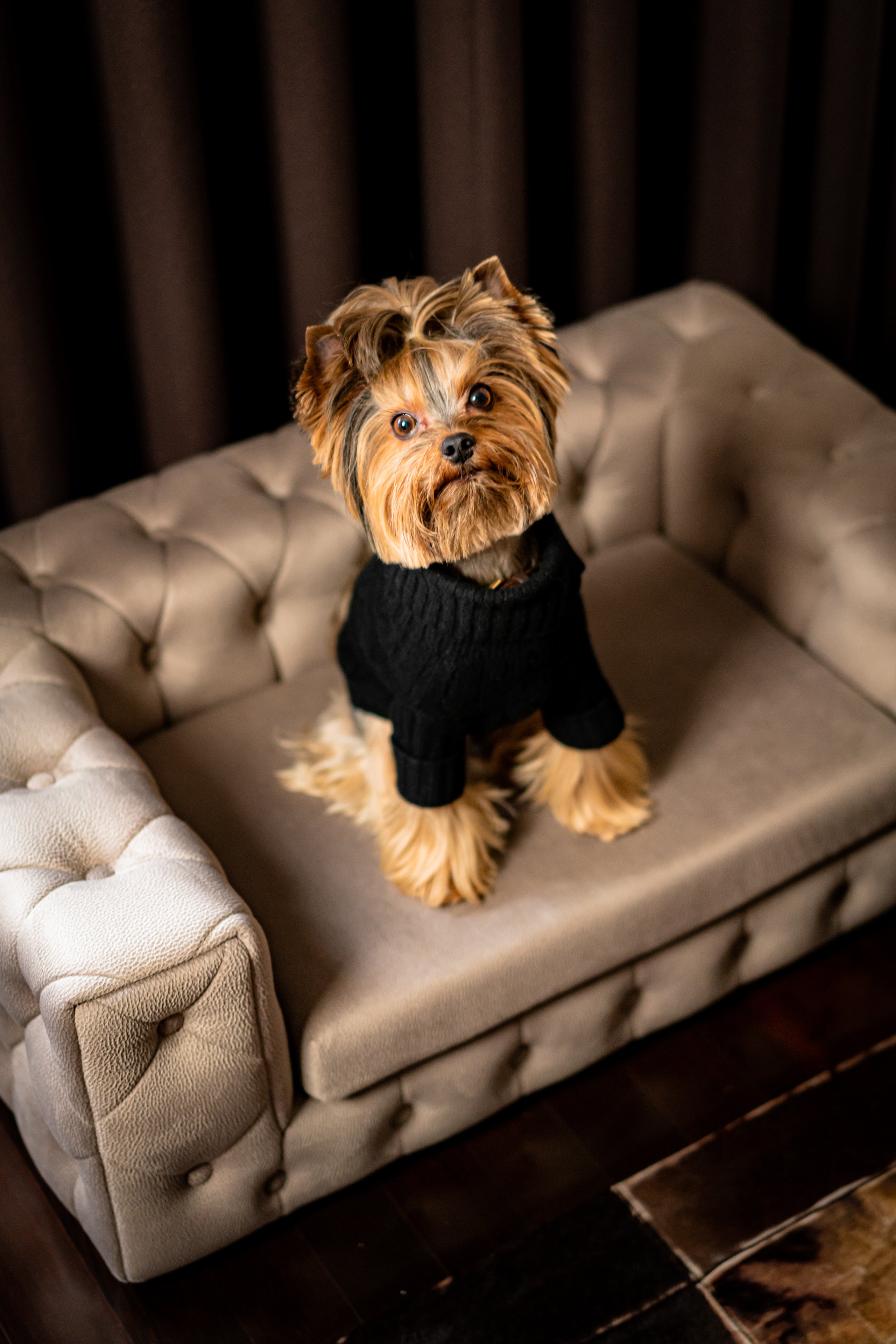 The Royal Luxury Pet Bed in Dark Brown