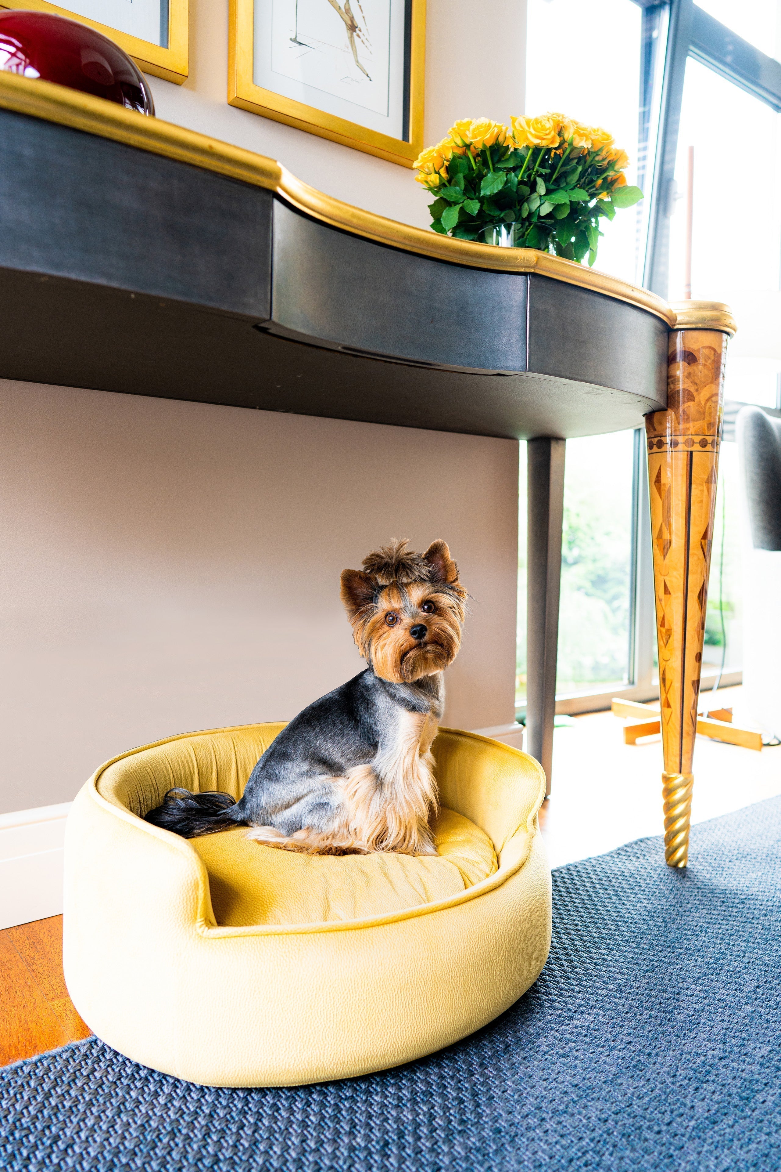 The Yin & Yang Luxury Pet Bed in Yellow