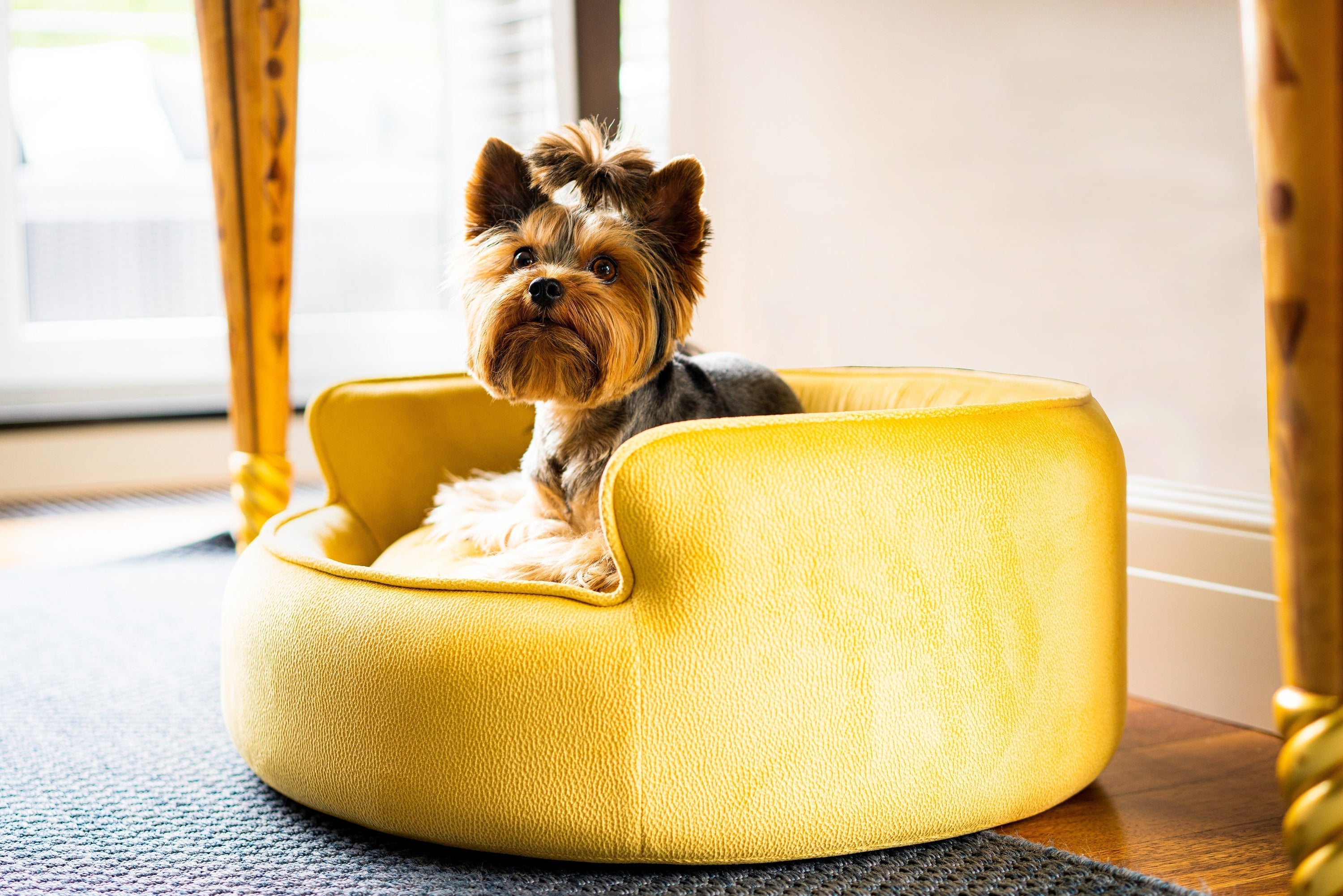 The Yin & Yang Luxury Pet Bed in Yellow