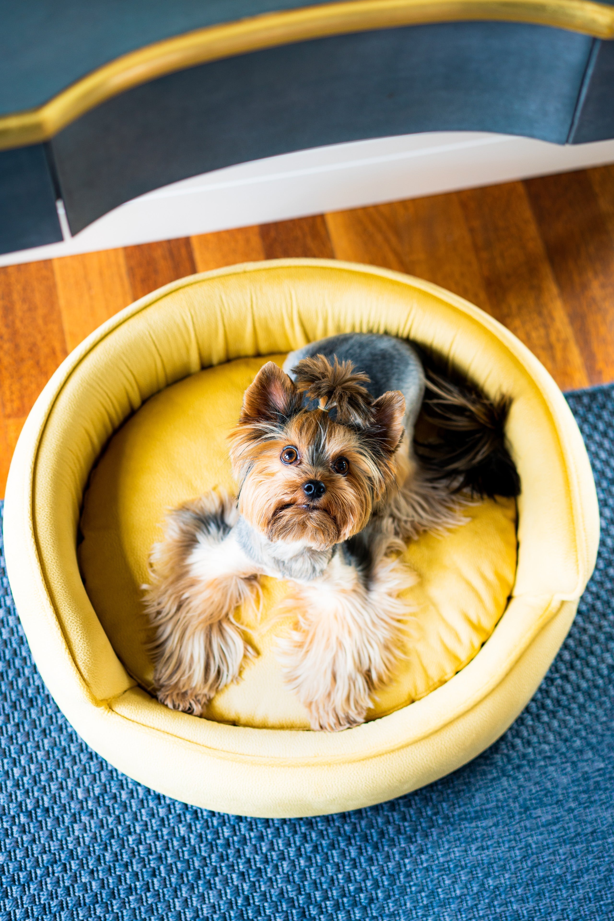 The Yin & Yang Luxury Pet Bed in Dark Brown