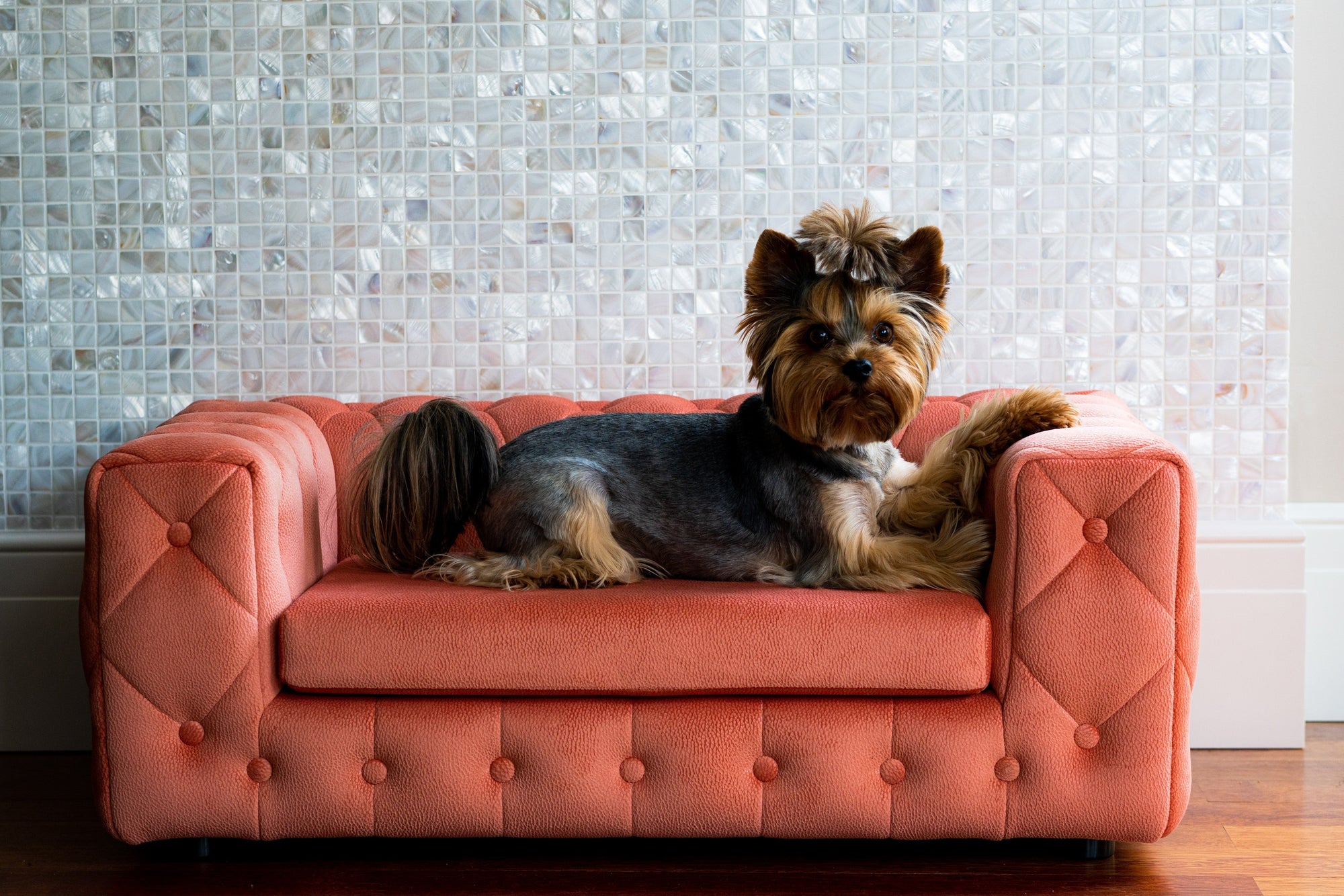 The Royal Luxury Pet Bed in Blue