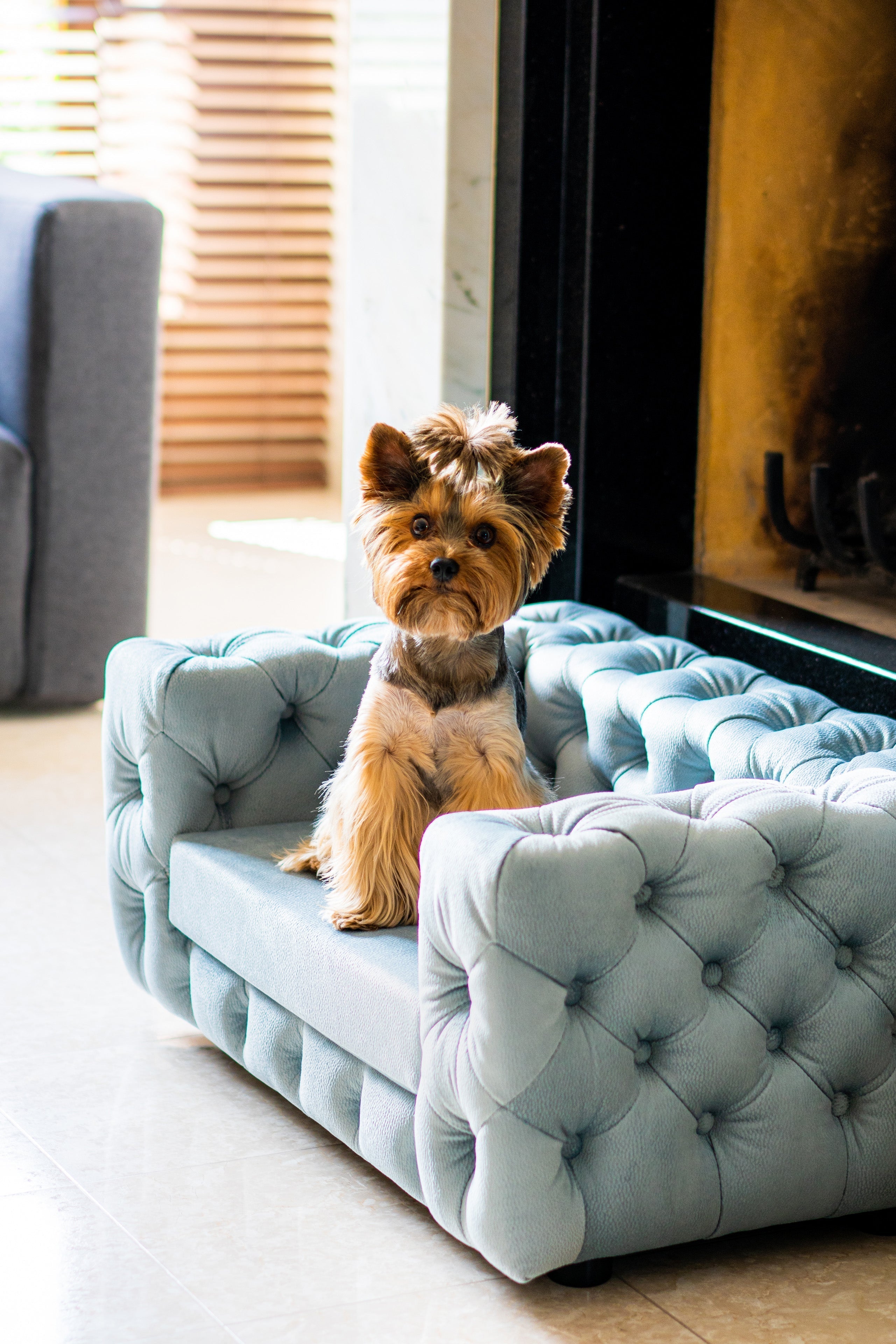 The Glamour Luxury Pet Bed in Dark Brown
