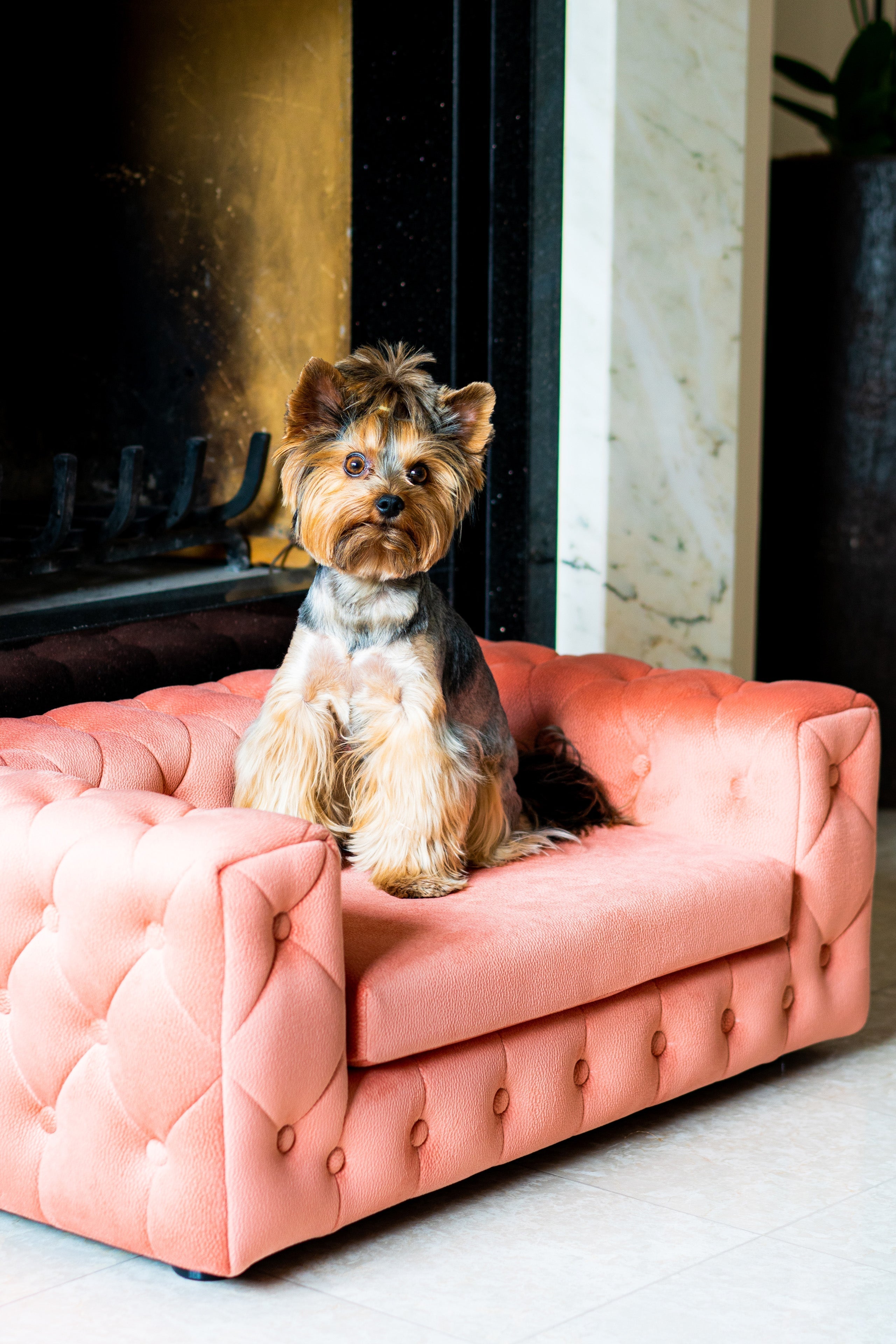 The Royal Luxury Pet Bed in Dark Brown