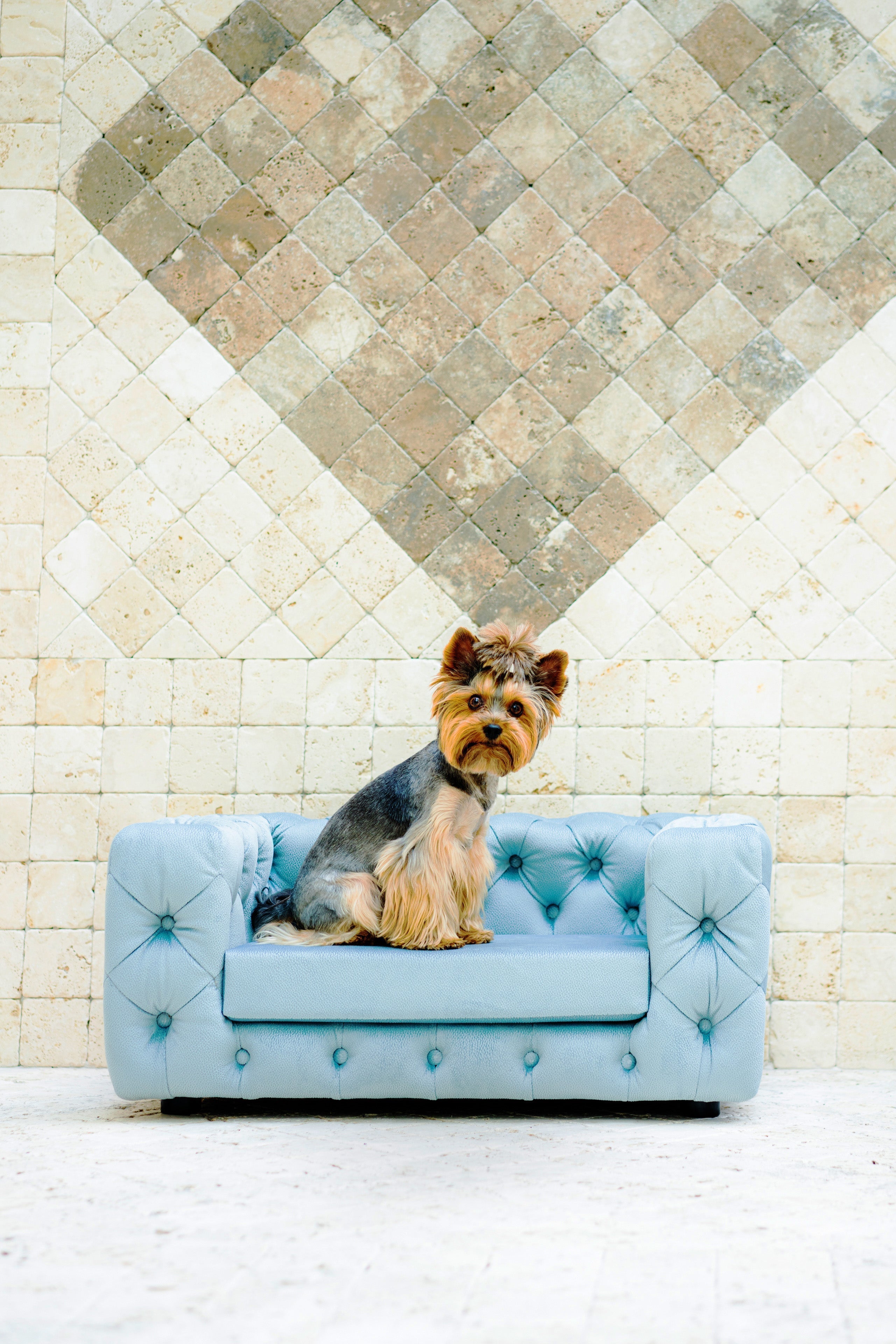 The Glamour Luxury Pet Bed in Yellow