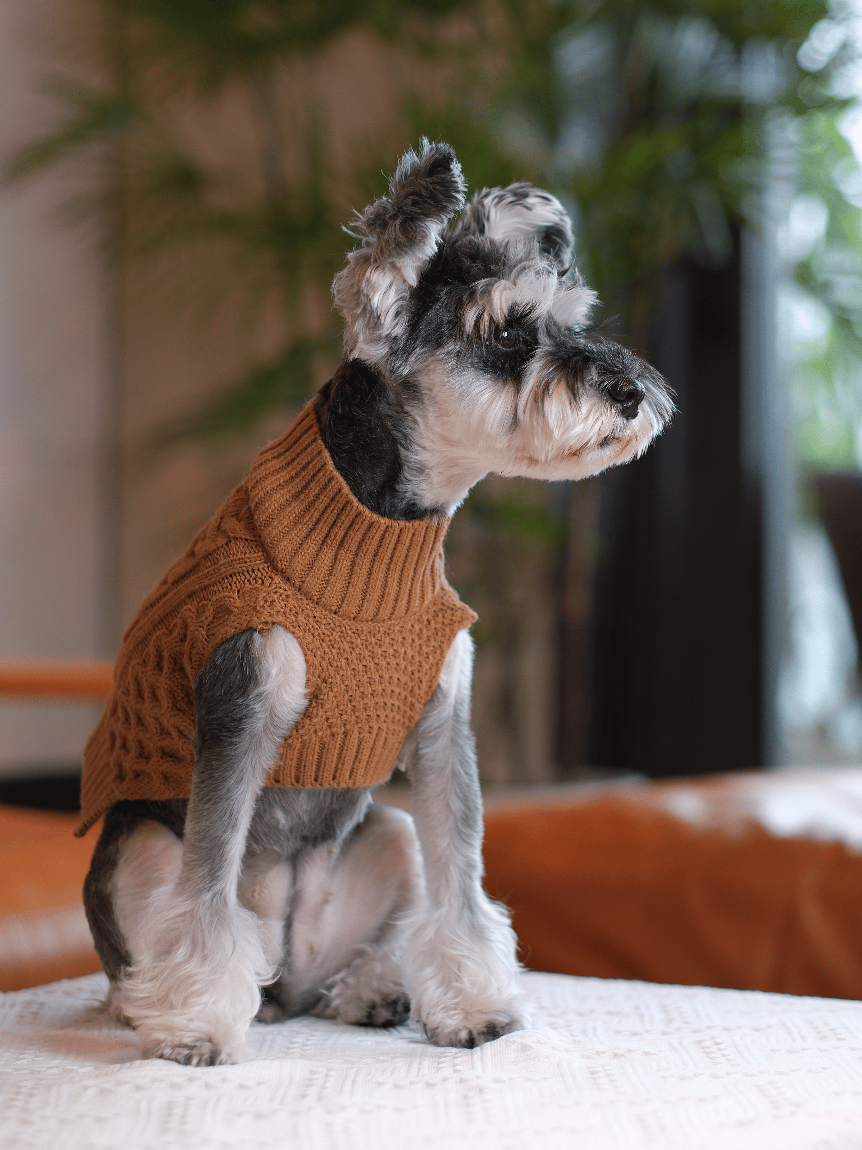 Pet Sweater Vest-Toffee Orange