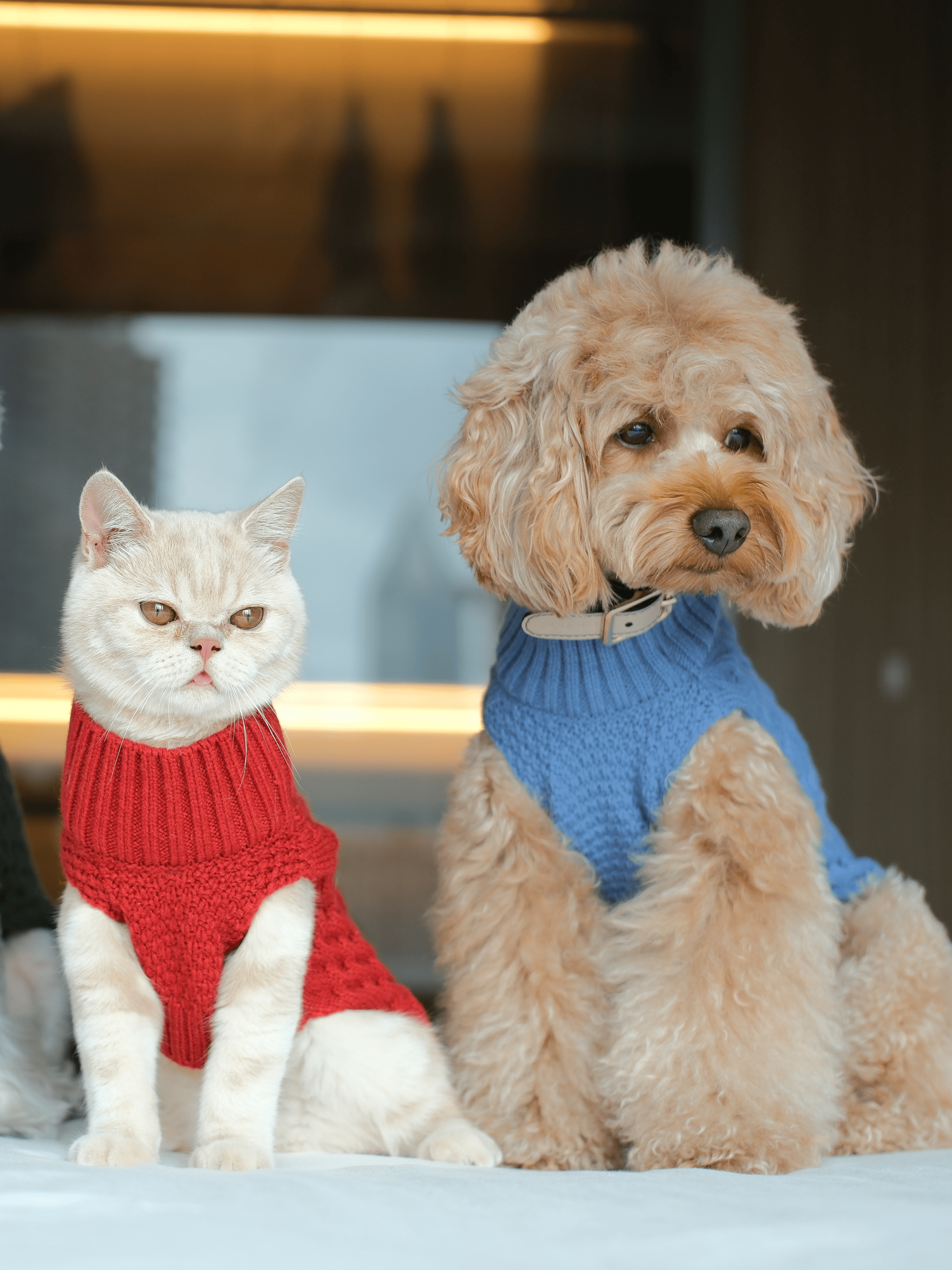 Pet Sweater Vest-Ice Blue