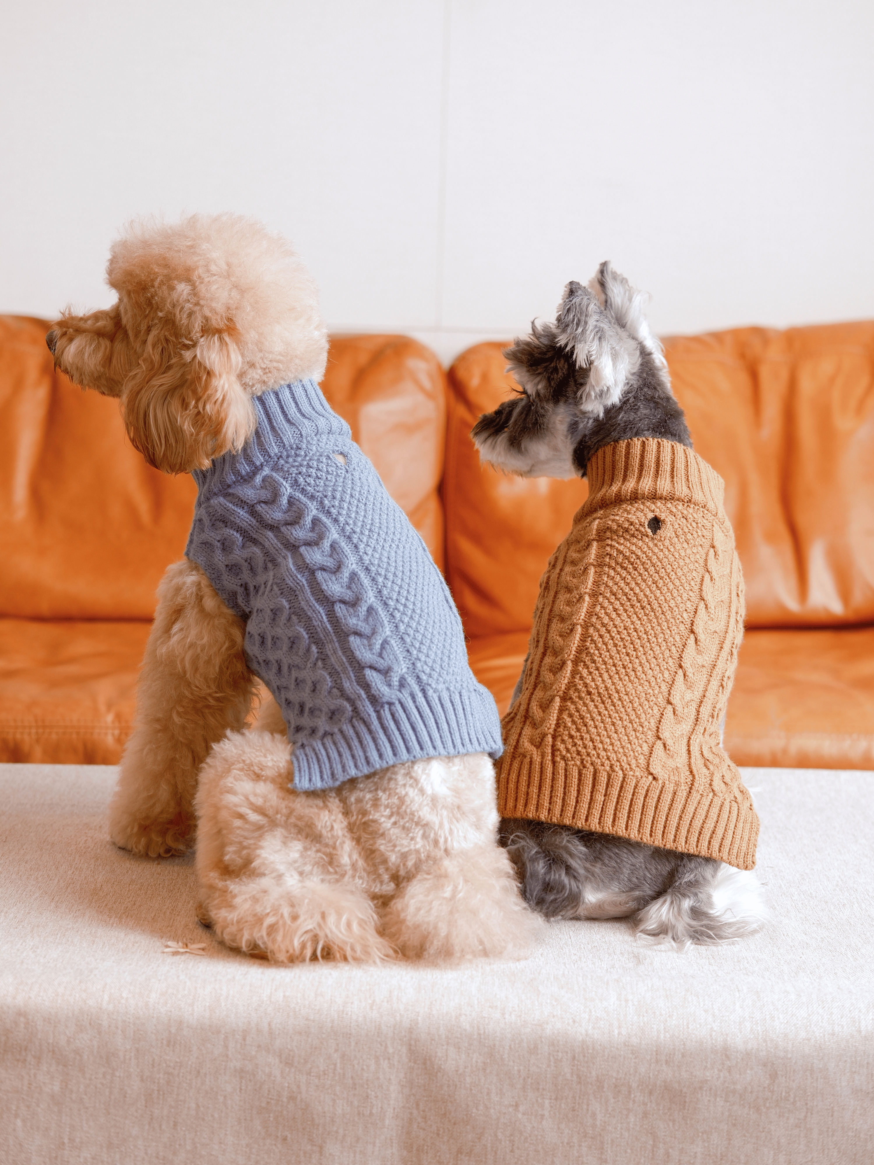 Pet Sweater Vest-Toffee Orange