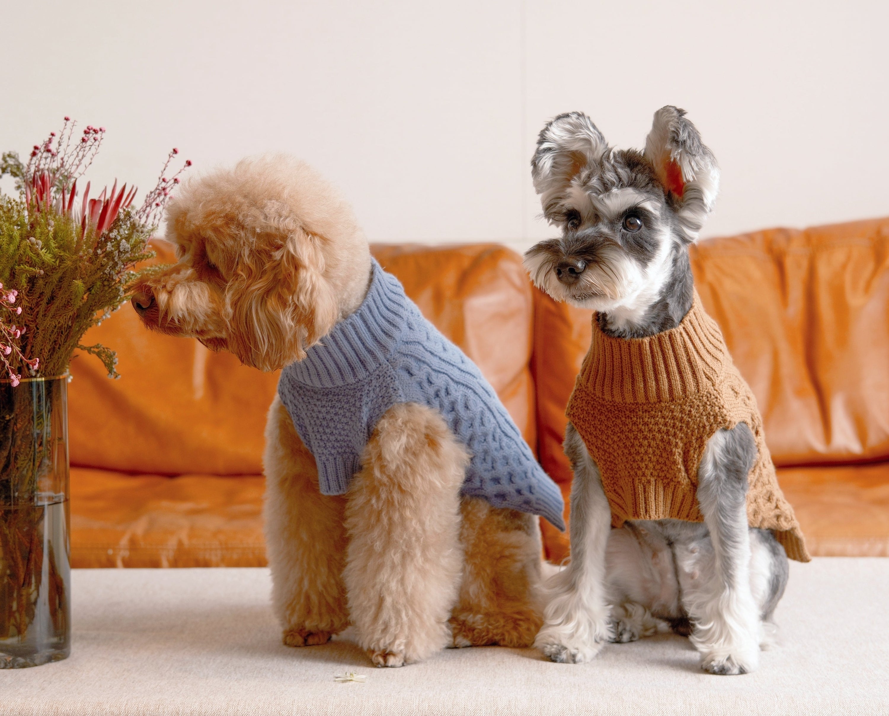 Pet Sweater Vest-Toffee Orange