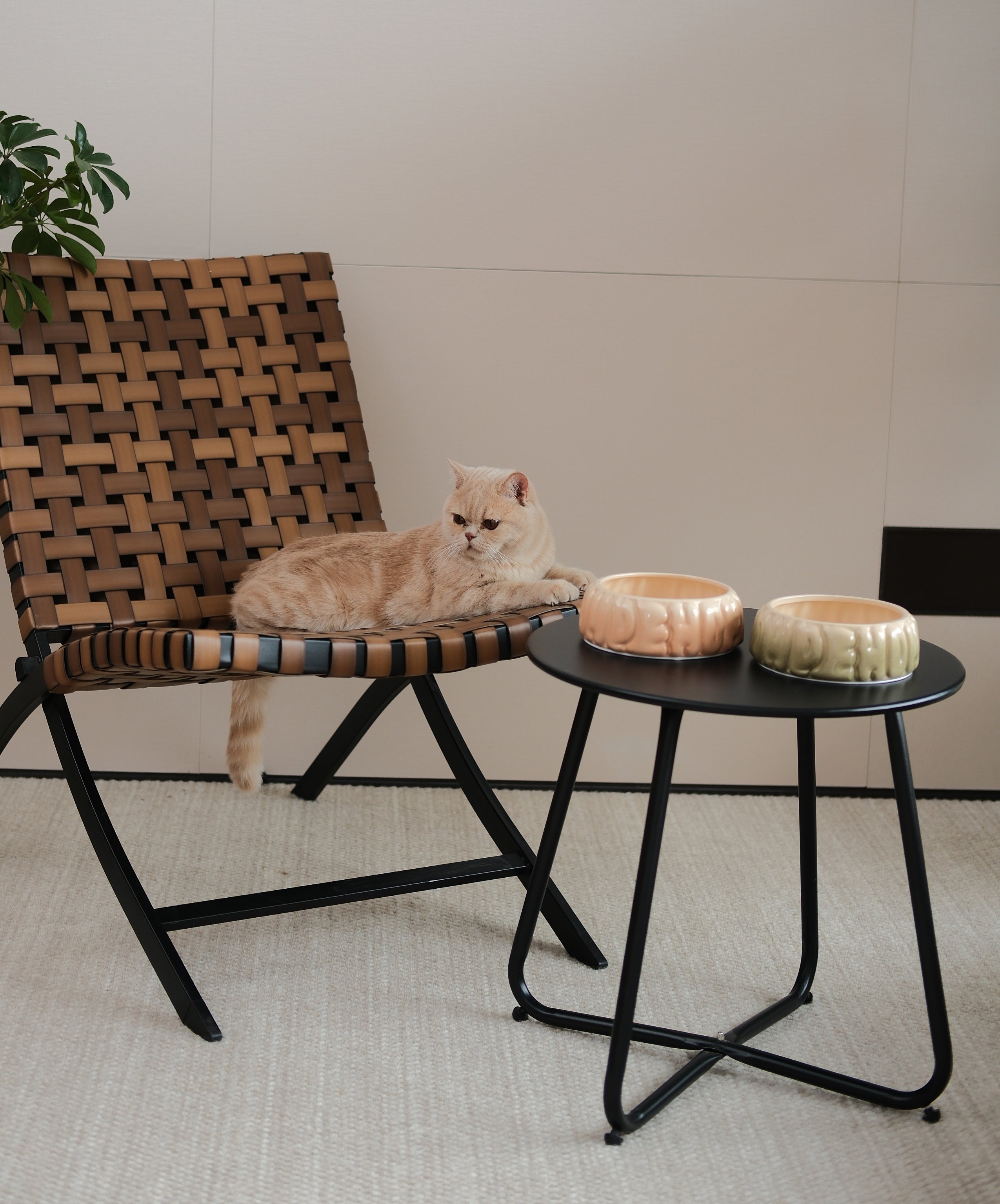 Puff Pet Bowl-Gradient Caramel